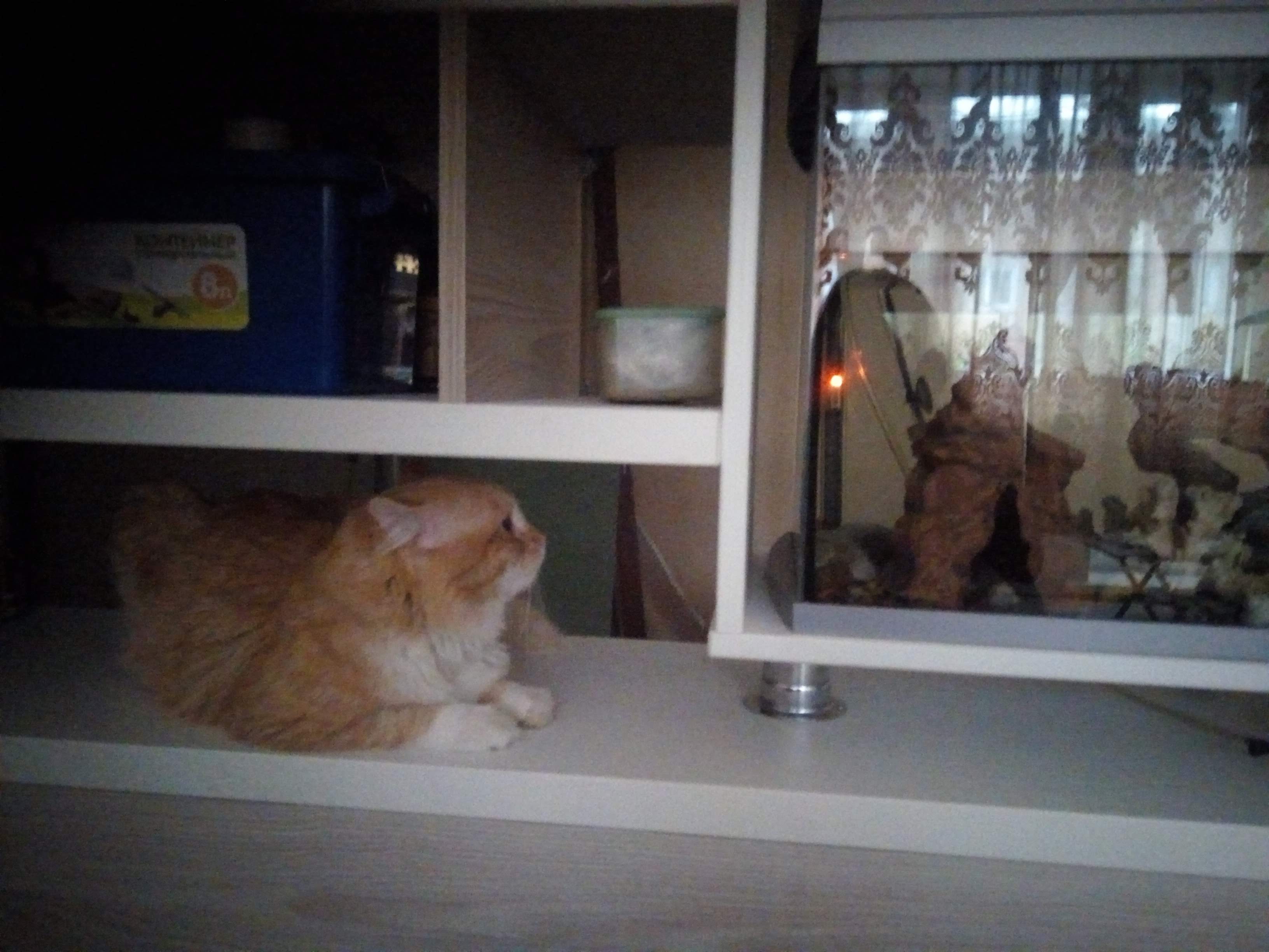 Продаю шляпу всякую.